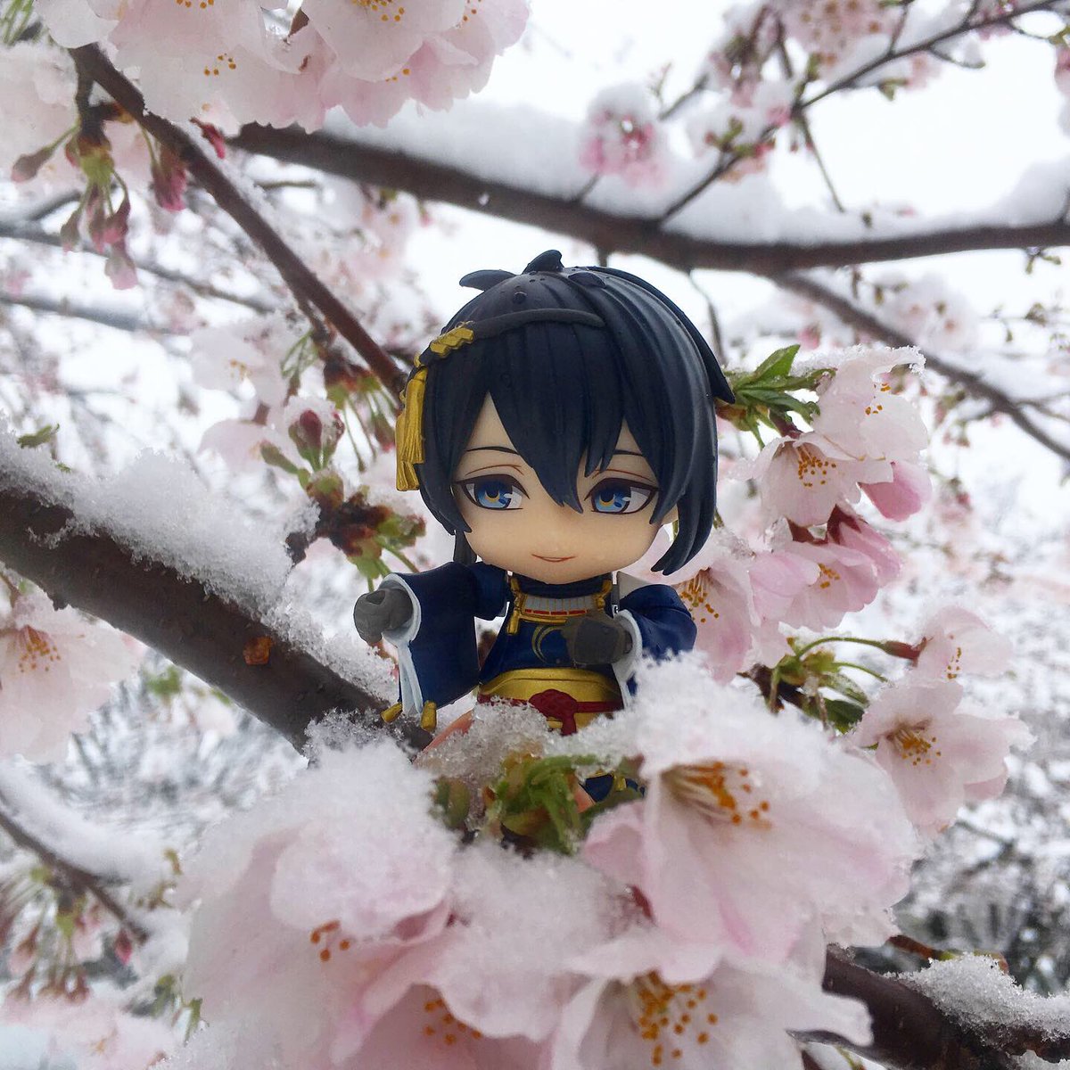 水彩切り絵作家🐣尚(Nao) 🐣NAOAPOCO🐥 tweet media