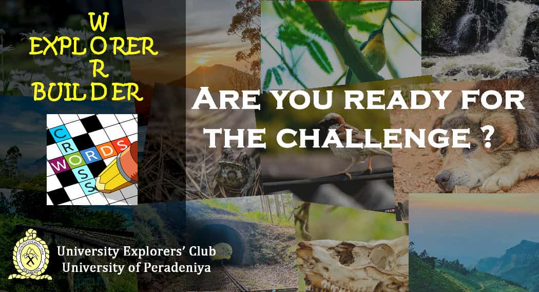 peraexplorers's tweet photo. Are you a real Explorer? Need a challenge to see your Explorer skills? Here Comes it.
#peraexplorers https://t.co/069G8rq0iq