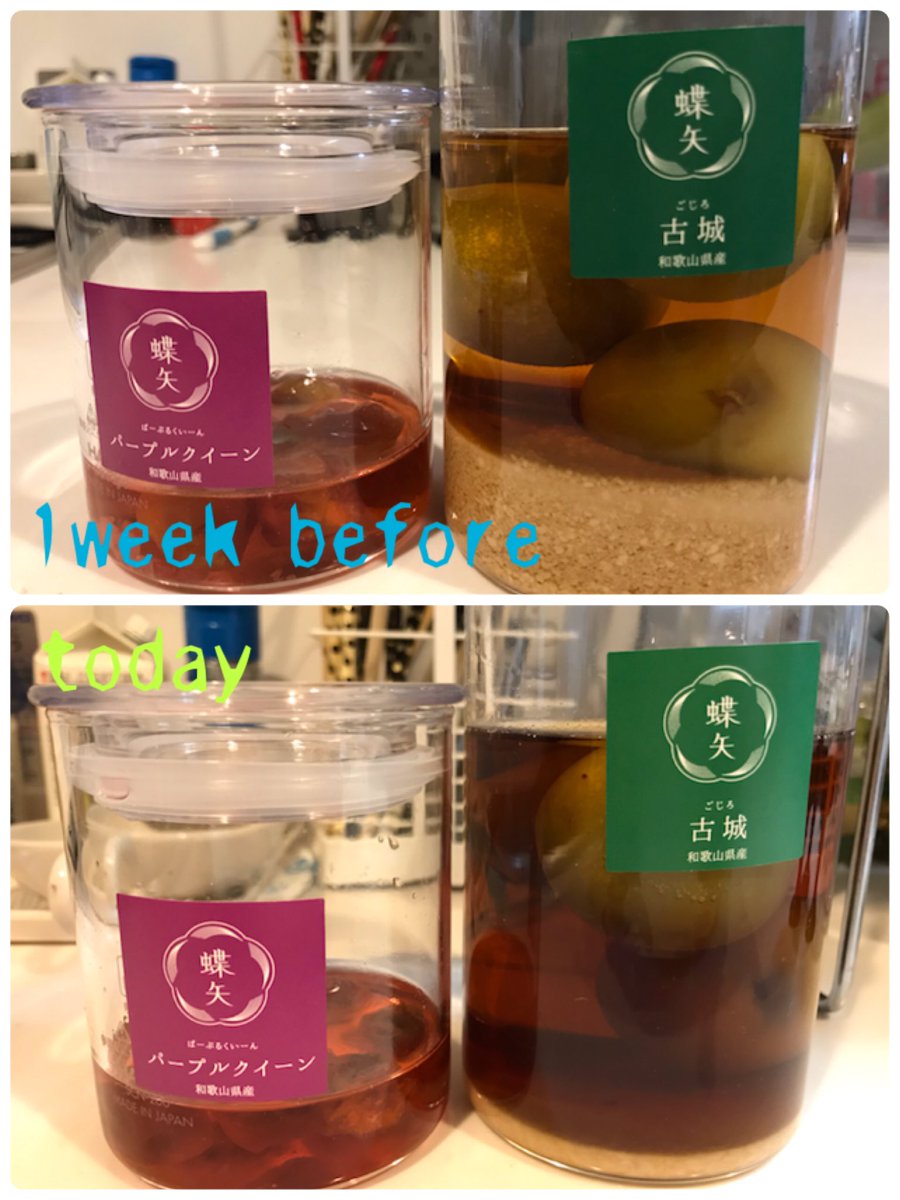 Ochan改めyasu 梅酒 梅シロップ定点観測 梅酒はてんさい糖砂漠がだんだん薄くなりお酒の色 が濃くなってきました 梅シロップはほとんど変化なし そろそろ出来上がりかな 梅酒は１ヶ月待たないとダメなのでまだまだ濃くなるんやろうか 蝶矢