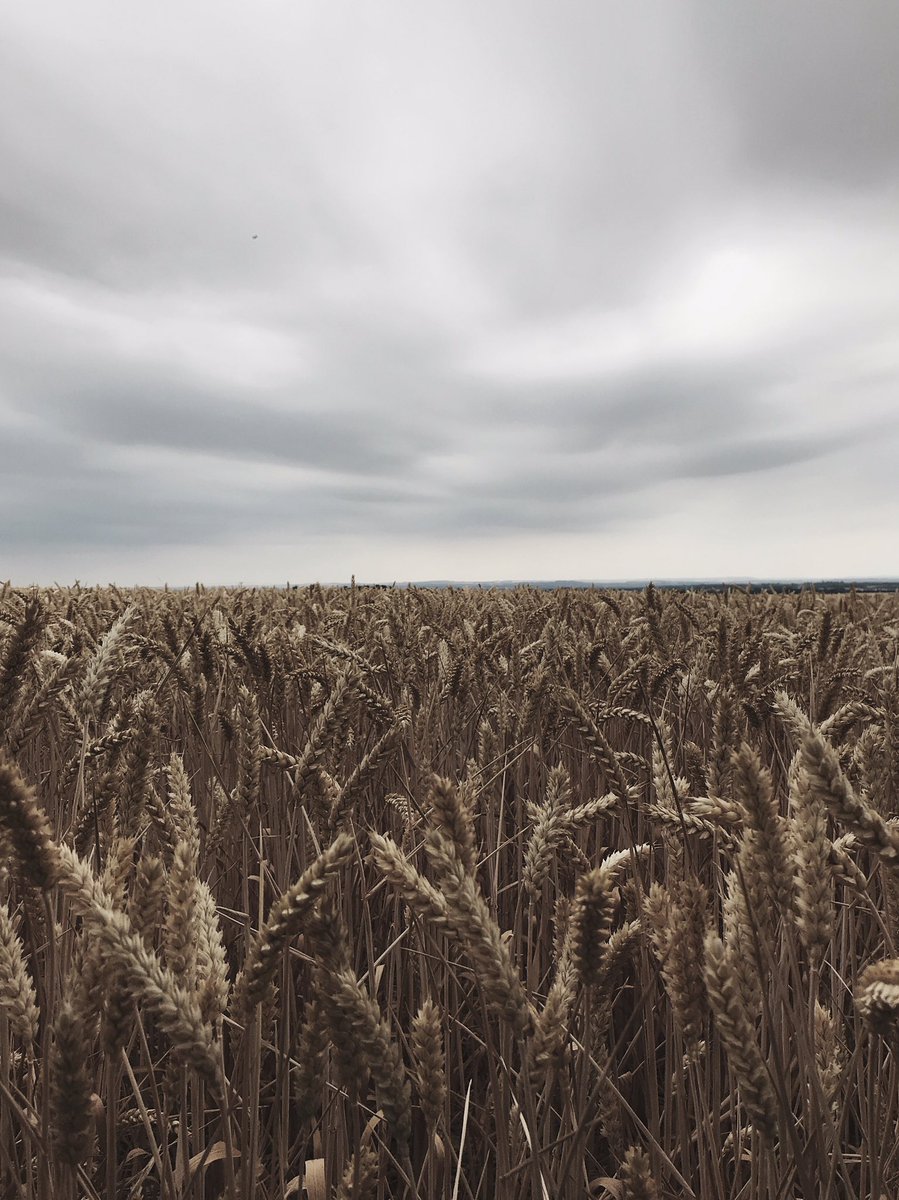 AXZCT's tweet image. Threads.