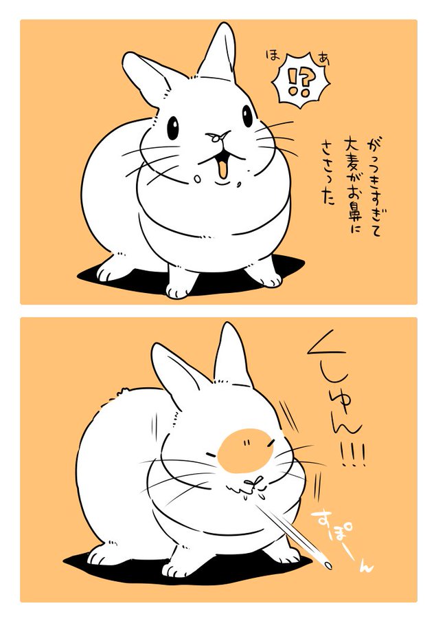 井口病院 うさぎは正義 最新刊7巻 年4月15日発売