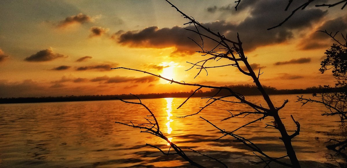 Bjbs2018's tweet photo. When the morning comes 🎵

#weekendvibes #sunrise #photographer #photography #landscapephotography #day5of14 #Florida #SaturdayVibes #insomniac #FloridaLiving @EnjoyNature @TabletWallpaper @edayphotos @dslrpundit @FloridianCreat1 @townhobesound @ThePhotoHour @born_saltwater https://t.co/MrnqeWBYPm