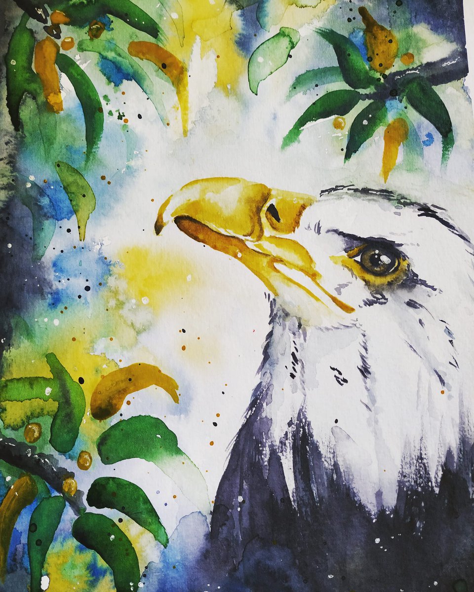 LolalliCreative's tweet photo. That has to be my favourite colour combination. And apparently I paint a lot of birds...
.
.
More streams on twitch these days: https://t.co/FpAhOYfqvu
#bird #watercolour #watercolourpainting #eagle #streamer #Stream #twitchcreates #twitch #flowers #laefs #boesnerwasserfarbe https://t.co/cLoZaPbhRY