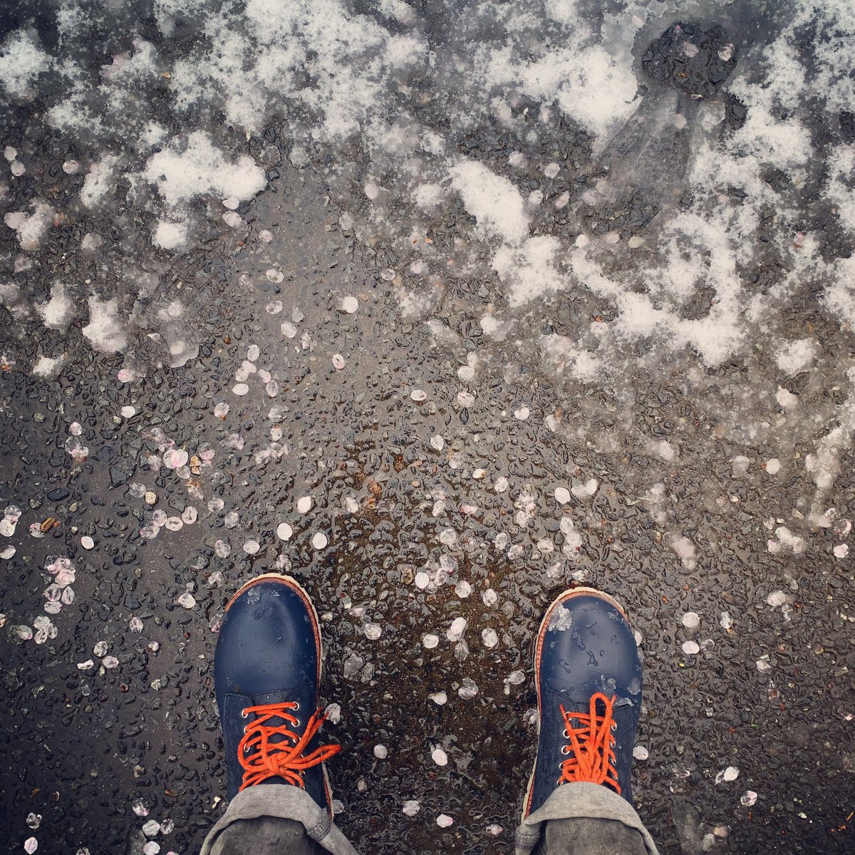 MatthewChozick's tweet photo. 🌸❄️👟 #もののあはれ #mononoaware #雪桜 #散歩中 #東京 #Tokyo #thepathosofthings #onawalk #fallencherryblossoms https://t.co/RabXYiHUqY