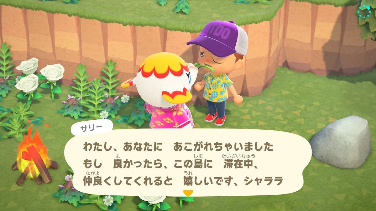 初期メンバーはケンタとアグネス。マイル旅行券でサリーとモニカをお誘い。早く住人増えないかな。 #どうぶつの森 #AnimalCrossing #ACNH #NintendoSwitch