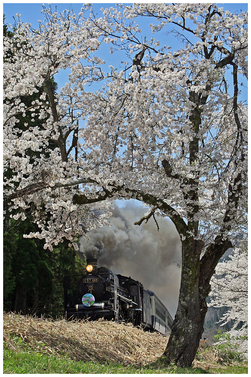 楓ちゃん tweet media