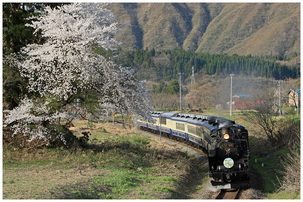 楓ちゃん tweet media