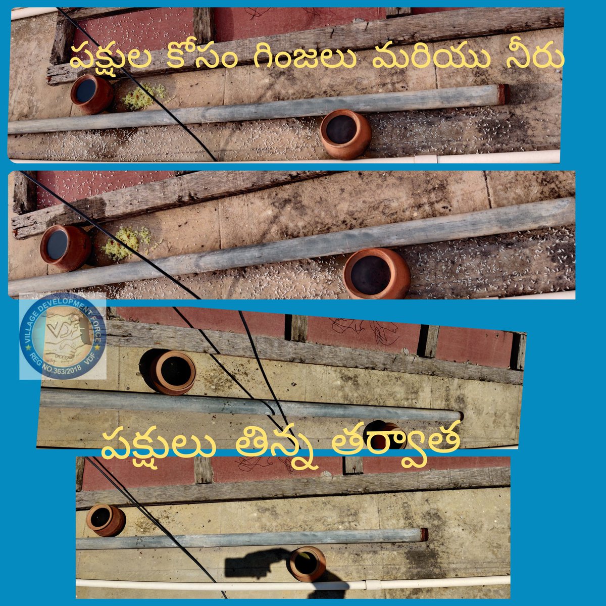 vdf2018's tweet photo. ఎండాకాలం లో కనీసం ఒక పక్షికి అయినా ఆకలి దాహం తీర్చామన్న సంతృప్తి మనసుకు కలుగుతుంది.....
#SaveBirds #FeedBirds #KeepWaterForBirds
🐦 🐦 🐦 #VDF #VillageDevelopmentForce #birds @janasena_t @BHARATHREDDYVDF @Manjunathchakk1 @ManjunathPV9 https://t.co/IP6jtaDRlI