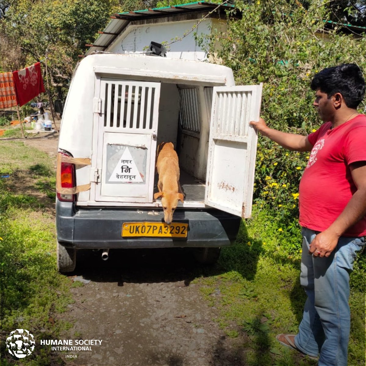 humaneworldind's tweet photo. HSI/India received a distressing rescue call in #Dehradun. On arrival, our team found 2 dogs caught in steel wires. We immediately moved them to our facility for treatment. They’ve since fully recovered and were released back to the area they were found in. #TailsofSurvival https://t.co/oivgB0LN6y