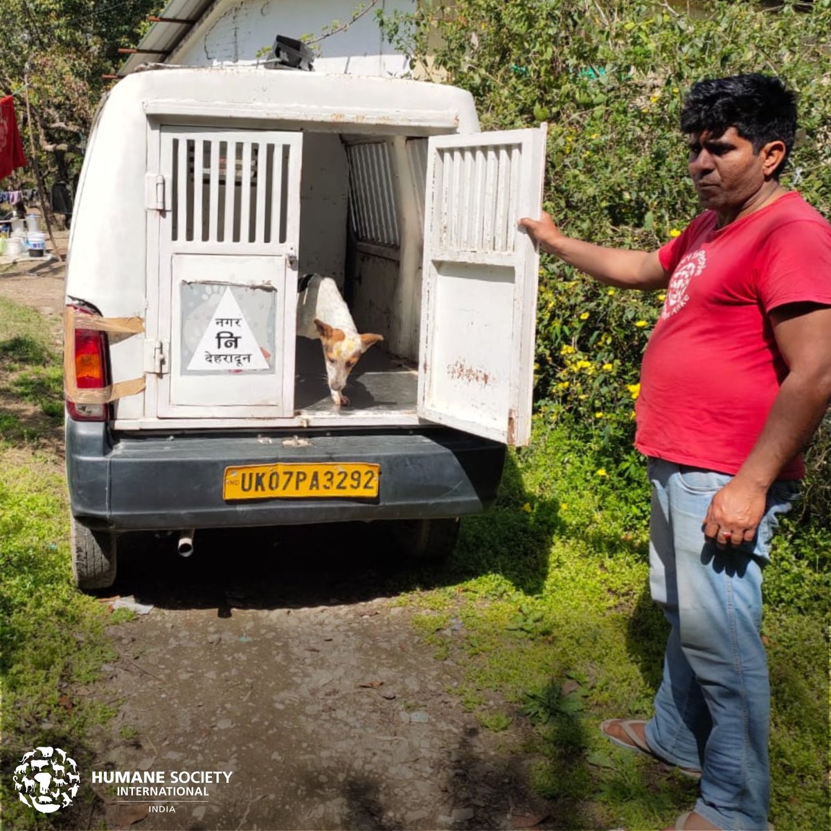 humaneworldind's tweet photo. HSI/India received a distressing rescue call in #Dehradun. On arrival, our team found 2 dogs caught in steel wires. We immediately moved them to our facility for treatment. They’ve since fully recovered and were released back to the area they were found in. #TailsofSurvival https://t.co/oivgB0LN6y