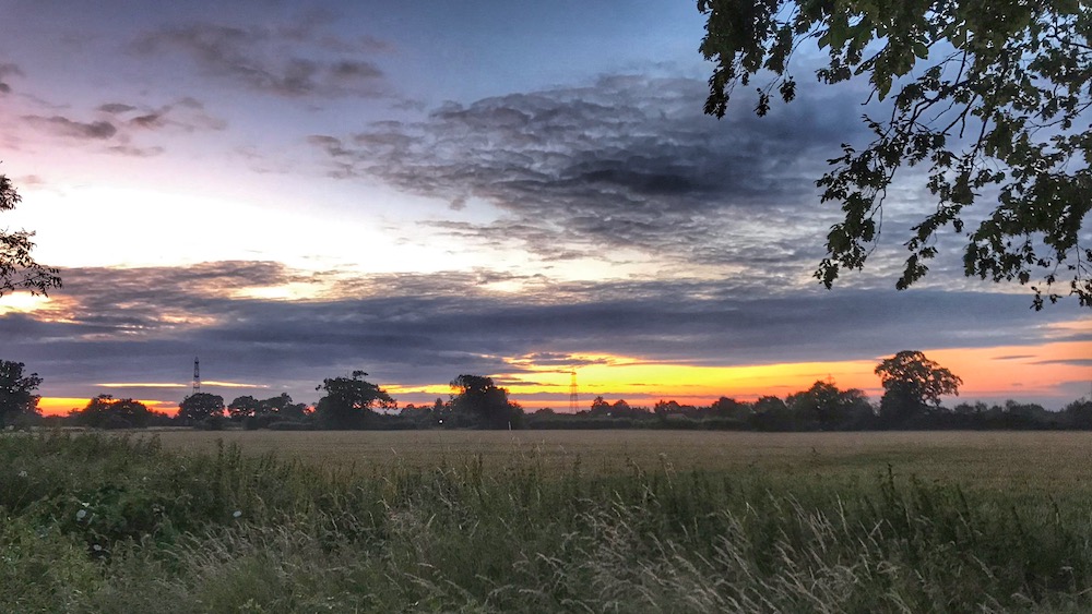 So grateful for the space we have in Norfolk.  I've always appreciated it but now I appreciate it even more.  I hope you have a restful Sunday!