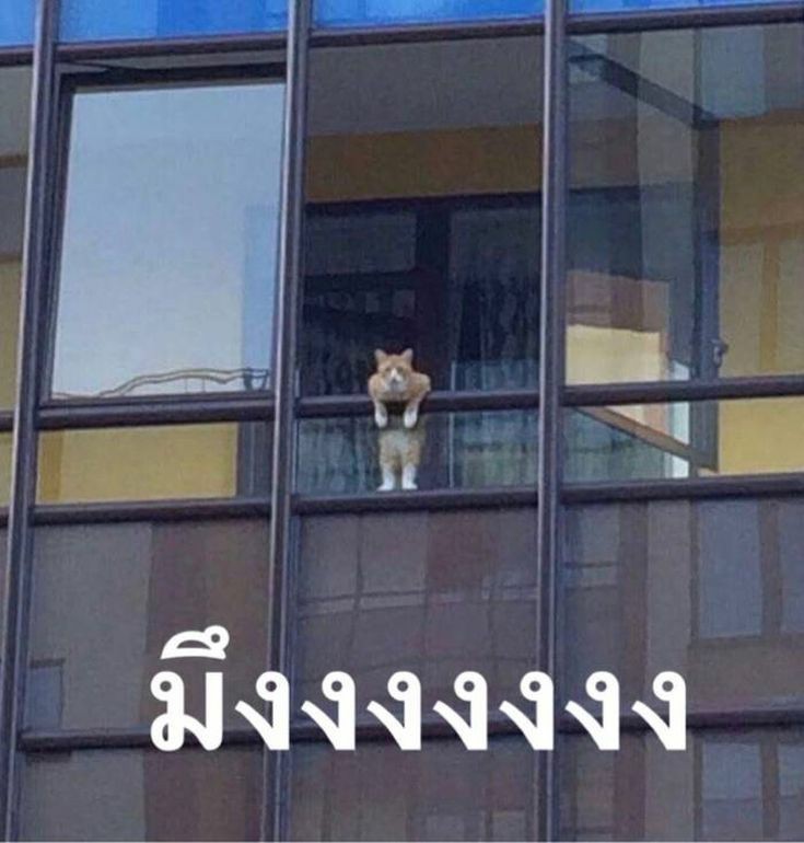 มึงงงงงงงงงง อิ #Dispatch มันแน่มากเว้ยแก มันปล่อยข่าวคู่รักประเทศกูอะมึง กูยกให้มันเป็นสำนักข่าวที่ MVP ปังไม่ไหวแล้ว