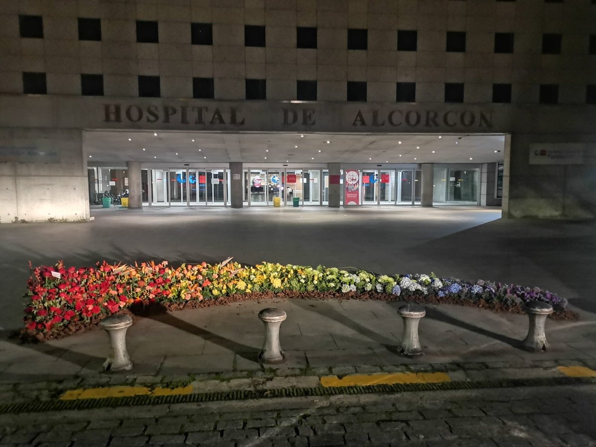Natalia De Andres On Twitter Esta Madrugada La Floristeria Las Camelias De Alcorcon Ha Donado E Instalado En El Hospital Universitario Fundacion De Alcorcon Un Arco Iris Floral En Homenaje A Tod S