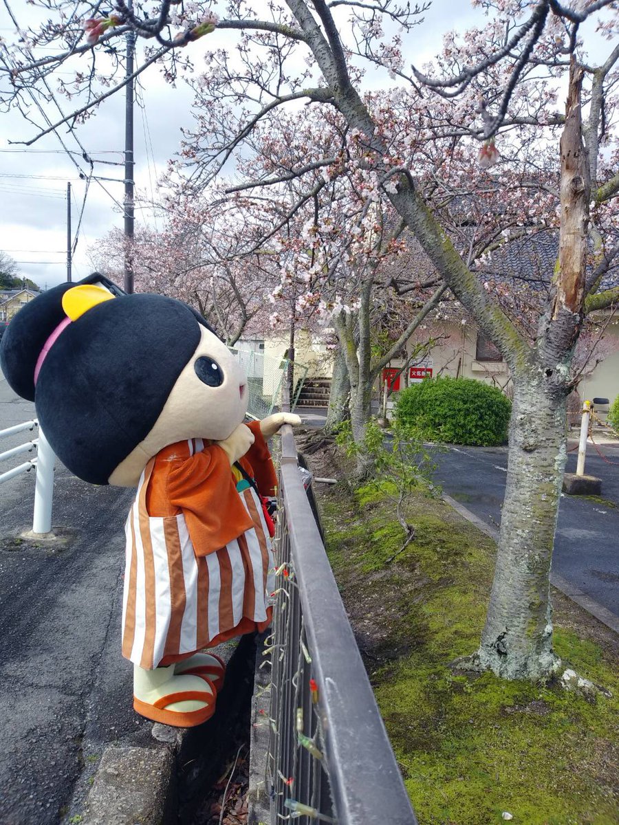 奈良自動車学校