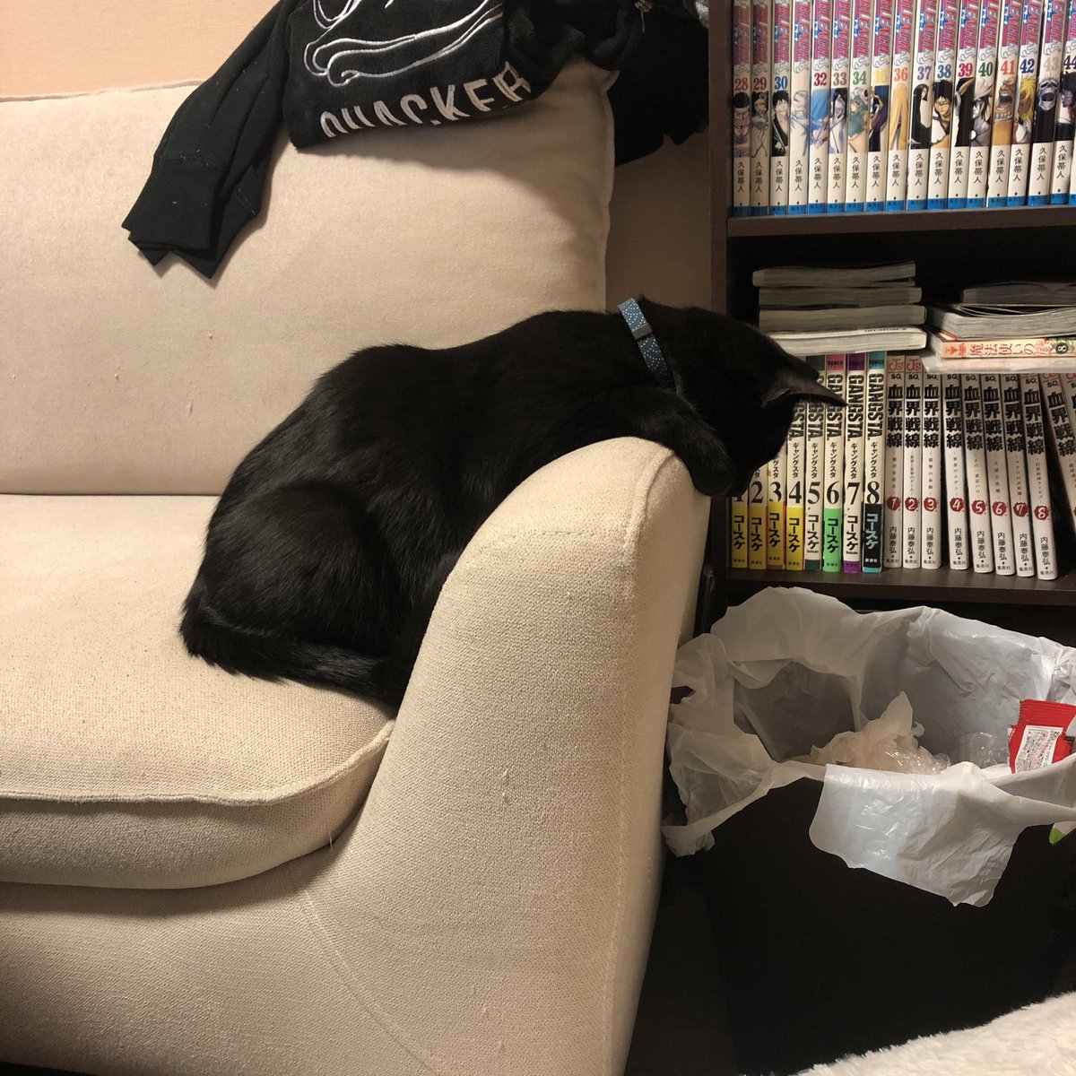 動物面白ろ画像