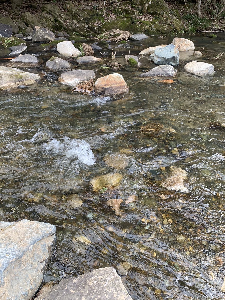 ハンカチ どんなに浅い川や溝でも溺死の可能性はある ましてや子供のボーちゃんにとってはこの川も深い 可能性がある 一度足をすくわれるとパニックになって上も下も分からなくなって溺れてしまう可能性が有るのだ あぁ この川 深いボボボホ この川 ハンカチ どんなに浅い川や溝でも溺死の可能性はある ましてや子供のボーちゃんにとってはこの川も深い 可能性がある 一度足をすくわれるとパニックになって上も下も分からなくなって溺れてしまう可能性が有るのだ あぁ この川 深いボボボホ この川