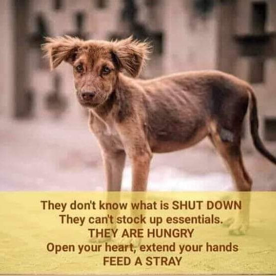 retna710's tweet photo. Let's care for them.. https://t.co/1243LPY7Xl