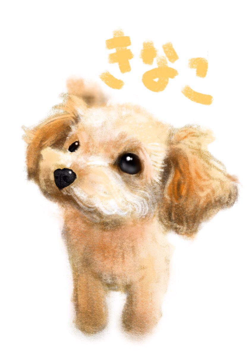 似顔絵師ヨギ Ar Twitter 朝倉未来チャンネルyoutubeライブで 一旦登録 でも今日登録100万人にしてみようとのこと 朝倉 未来100万人までもうすぐ 朝倉未来チャンネル 100万人登録 きなこ トイプードル 佐々木大 さん たくま さん 吉田 さん 朝倉未来 さん