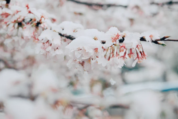 近所の公園❄? 