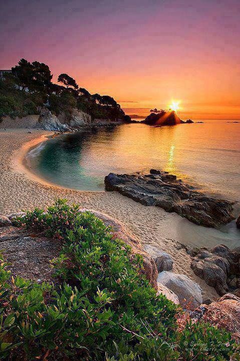 KatanaHugo's tweet photo. Good morning
#photos @morning #sunrise https://t.co/yd9rll5tl3