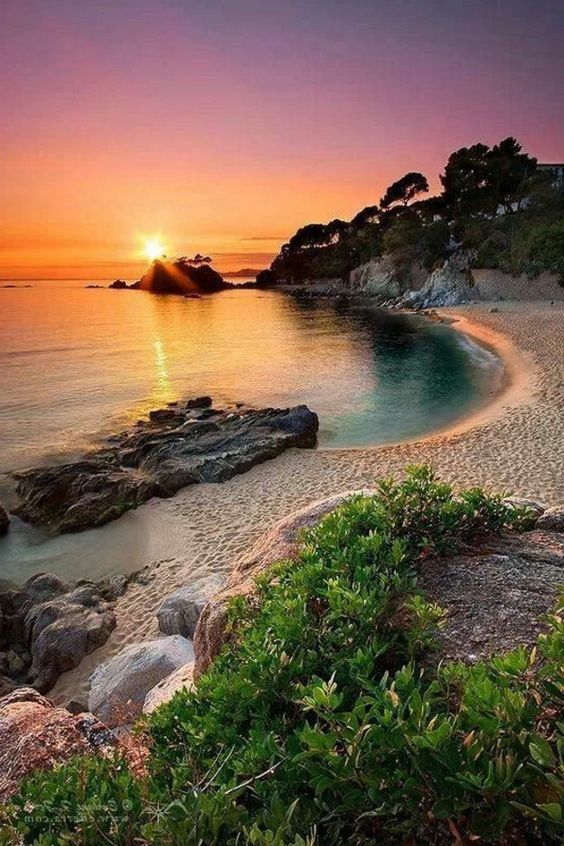 KatanaHugo's tweet photo. Good morning
#photos @morning #sunrise https://t.co/yd9rll5tl3