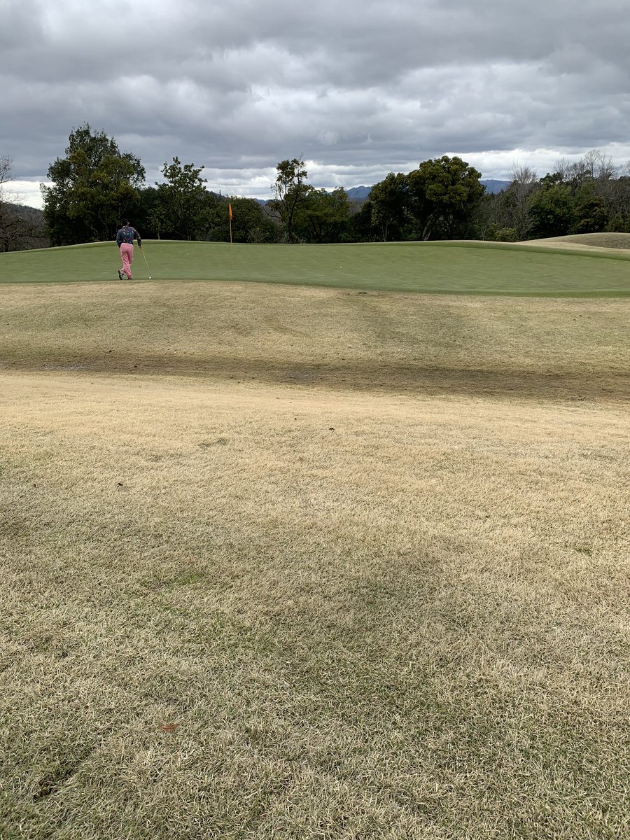 hamu1123's tweet photo. ゴルフ⛳️ https://t.co/4nIQjiFGax