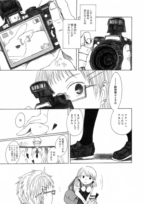 「うさぎのカメラ」2/6 