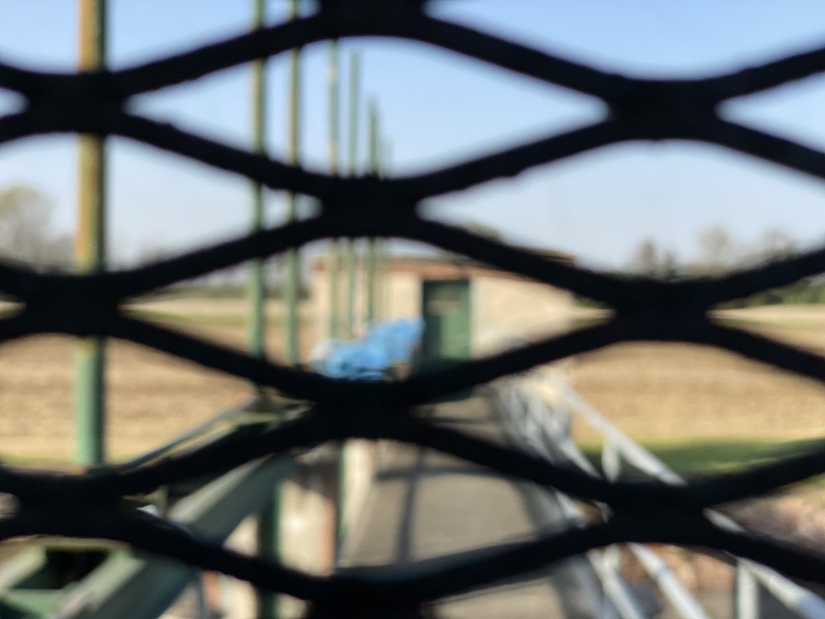 madgallo's tweet photo. #quarantena https://t.co/gA4xCvp2SG