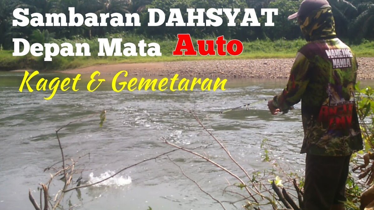 FishingYudi's tweet image. Tak semudah aku bayangkan untuk bisa jadi pelipur lara 😁. Dari Hoby untuk penghibur hati. #mancingikan    Dahsyatnya sambaran #ikanhampala bikin gemetaran youtu.be/JtUeFqz_jhM