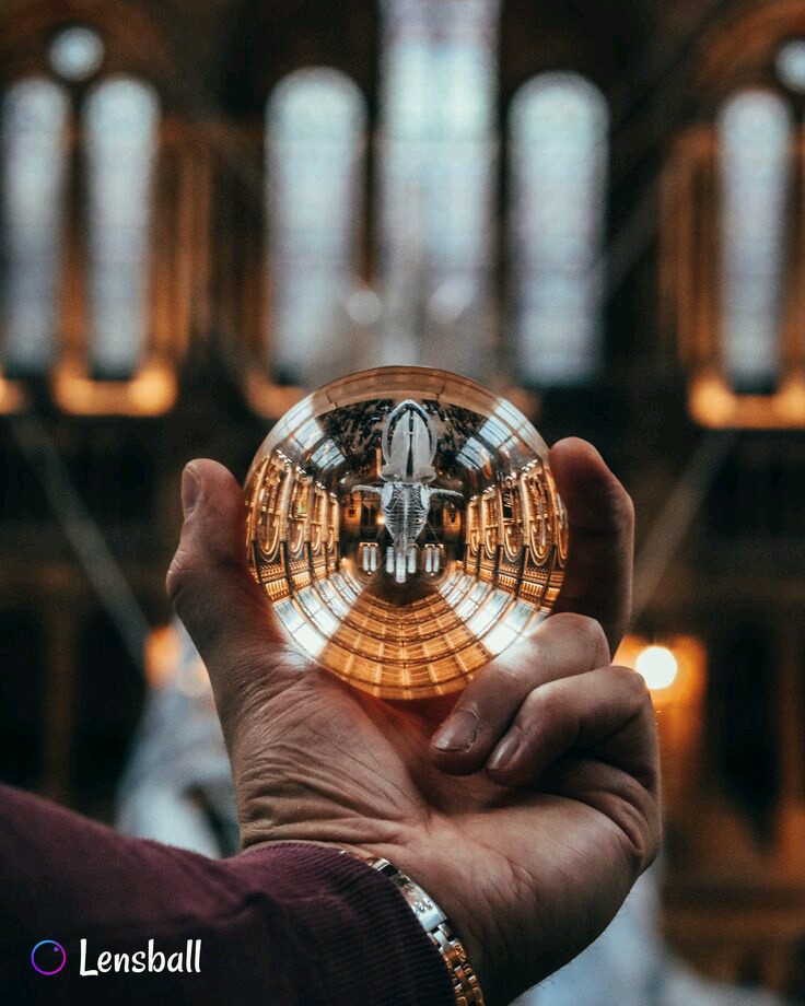 Lensball1's tweet photo. @Lensball1
1.8+ million stock🎆 photos of lens ball, audios &amp; templates✏ Inspire you with stunning ideas📷#lensball #clearball #graphicdesign #stockimag https://t.co/skjdqgOgDt https://t.co/NVBmH9dLEF