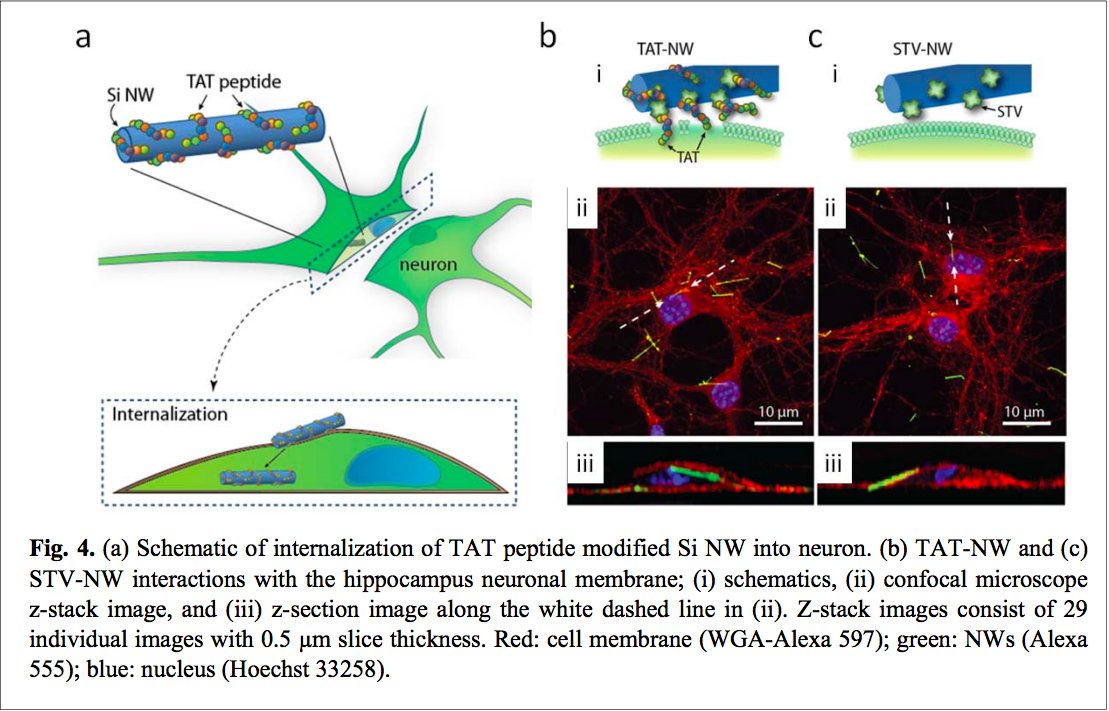 with heavy-metal-free quantum dot emitters that provide a strong, macroscopically addressable and reproducible nanoprobe emission signal.