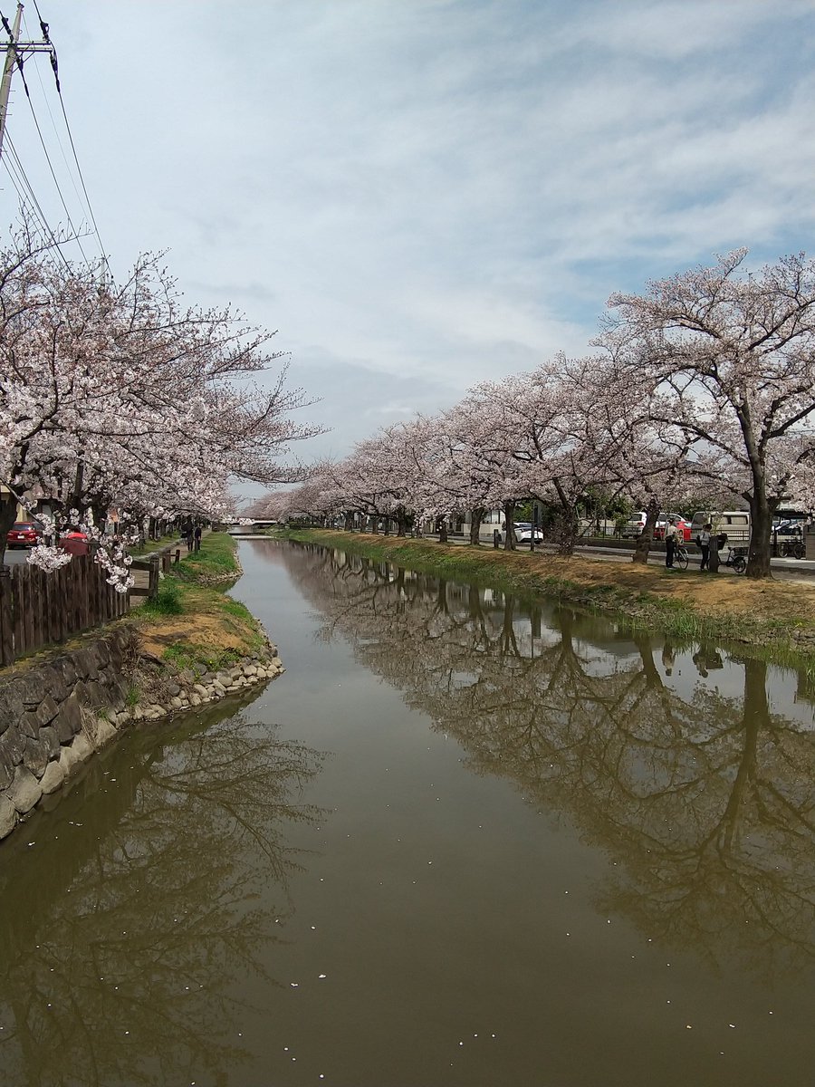 TokyoOtter's tweet photo. #cherryblossom has come.
#Saitama #Japan https://t.co/XjWsLSjuYM