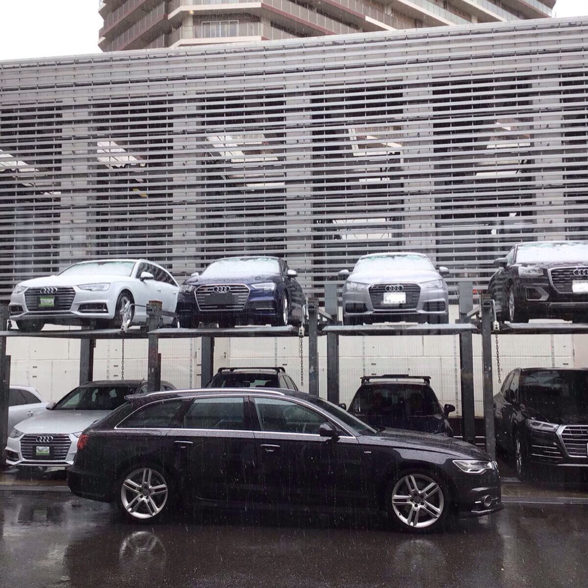 Audi 豊洲 アウディ豊洲 小松です 本日は朝から雪でしたね 豊洲店の駐車場の車も うっすら雪が積もっておりました こんな日も アウディの Quattro なら安心して走行していただけますね 雪 日曜日 アウディ アウディ豊洲 アウディ認定中古車