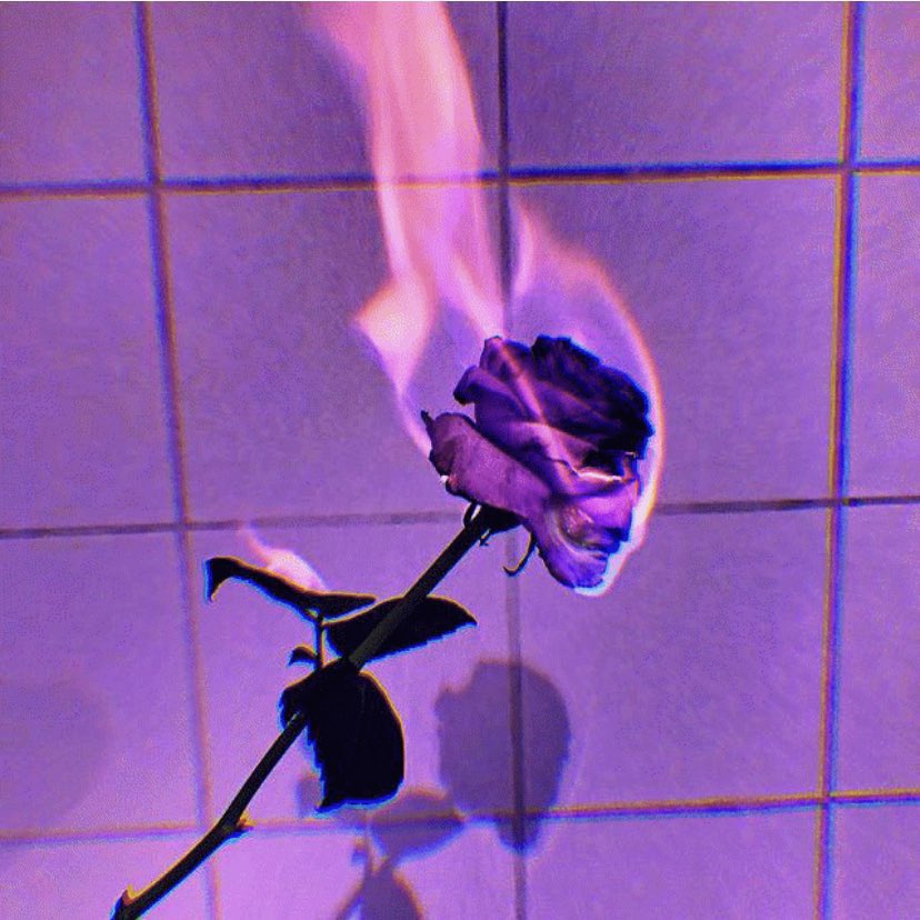 𝕷𝖆𝖉𝖞 𝕲𝖎𝖆𝖓𝖓𝖆 @la tweet media