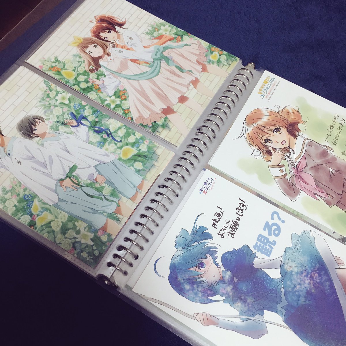 さくら 片付けし始めるとなかなか終わらない ということで片付けながらまずはグッズ収納をご紹介 誰得w 紙類は無印のファイルに 収納してます あちこちファイルに収納するのがあまり好きではないので色んなリフィルを活用してます 東急ハンズ 無印