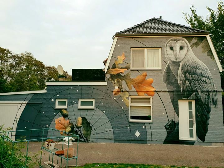 Treedotpack's tweet photo. Vorig jaar verrasten we onze assistent en held in nood met een gepersonaliseerde mural! Samen met het artiestenduo ХУДО gaven we zijn zijgevel een nieuw jasje! https://t.co/3MqP5s8ngF https://t.co/AHHgZgpEUs