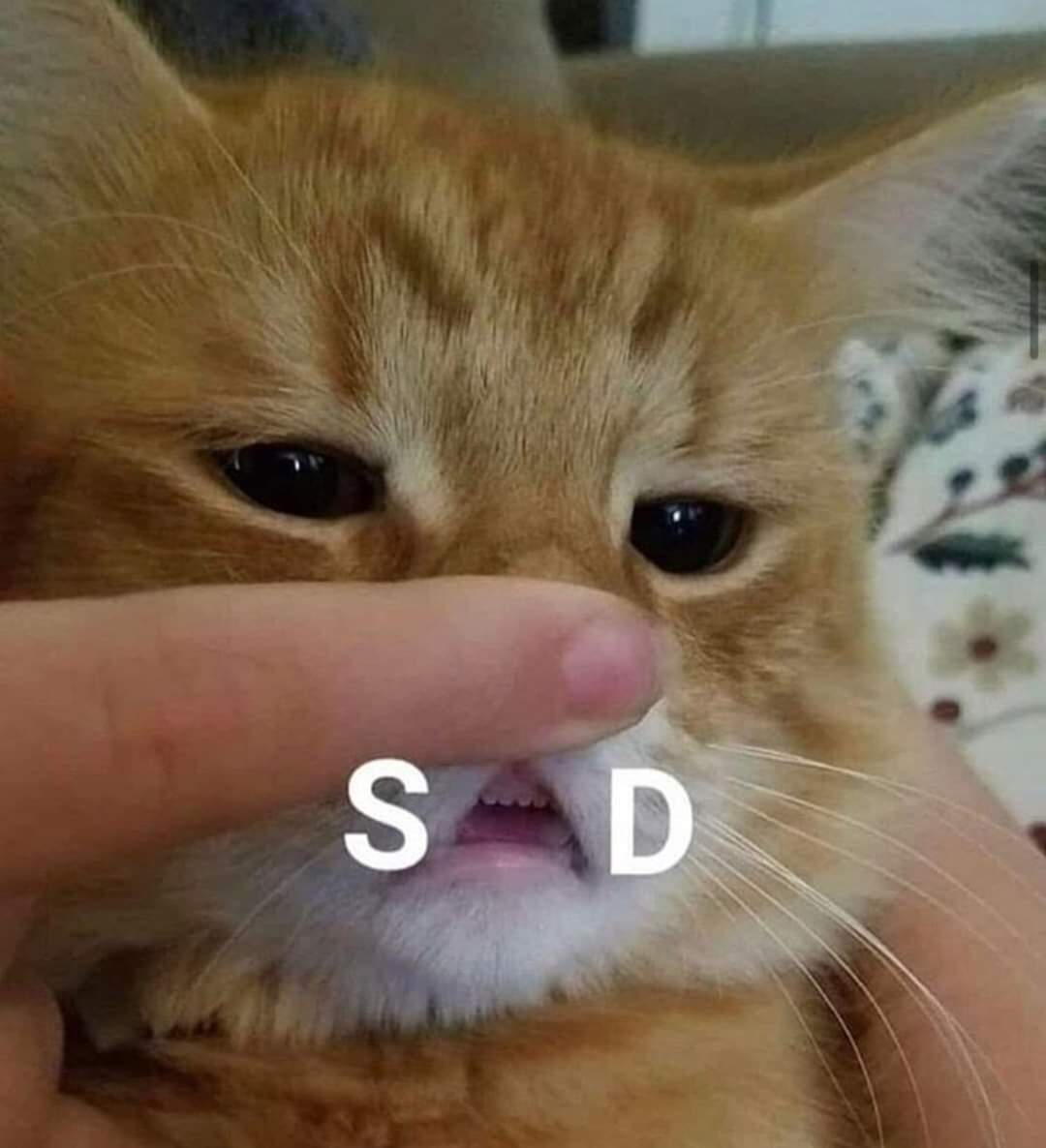 อยากเรียนเก่งจังค่ะ 💜 tweet media