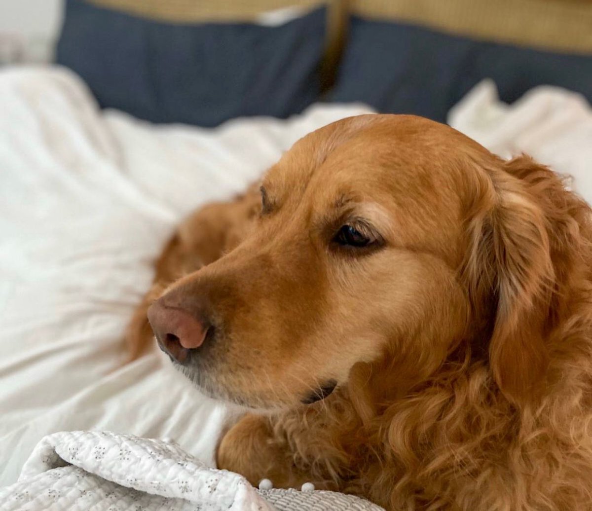 Why can't we just spring forward an hour on a Friday afternoon instead? 🤔#daylightsavings #daylightsavingstime #springforward