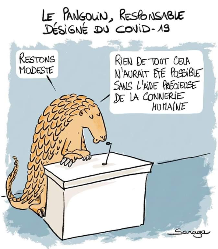 ChasseAbolition's tweet photo. Connerie humaine qui persiste ...

#Covid_19 #Covid19 #Coronavirus #ConnerieHumaine #HumainResponsable https://t.co/yav3WY12w0