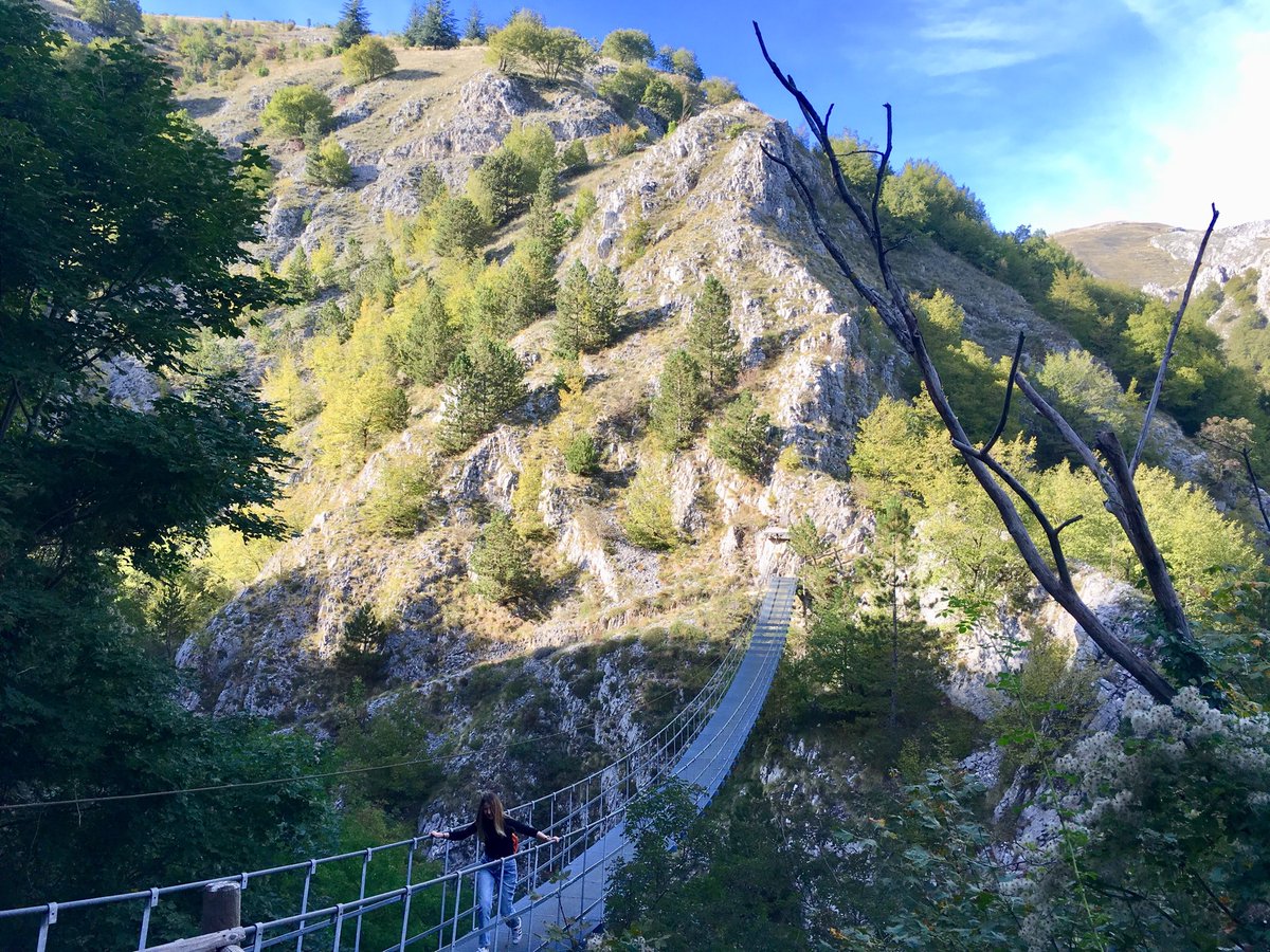 Cartoline dal Molise: Ponte tibetano, Roccamandolfi 
⁦<a href="/Molisetrekking/">Molisetrekking.com</a>⁩ ⁦<a href="/vivilMolise/">VivilMolise</a>⁩ ⁦⁦⁦<a href="/Molisiamoo/">Molisiamo</a>⁩ ⁦<a href="/GuidaMolise/">Guida Molise</a>⁩