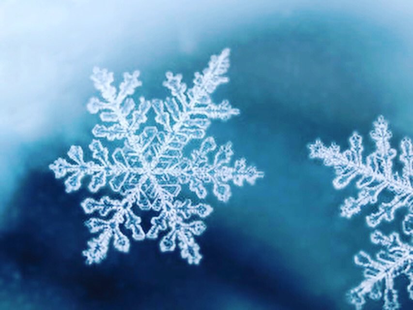 DartscafeG's tweet photo. おはようございます！

ヒロです！！

まさかの雪❄️

最近暖かったり寒かったり安定しなさすぎる…

桜に雪が積もってて綺麗でレアな景色ではあるけど、ただでさえ人が外に居ないのに今日は一段と少なかったです💧
しかし、Grove渋谷店は今日も元気に営業しています✨

本日18時からオープンしてます。 https://t.co/R6qvSWvetD