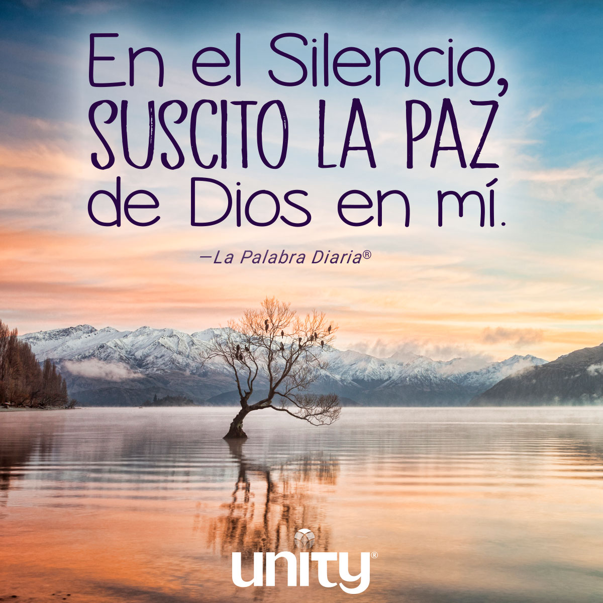 unityenlinea's tweet image. Paz interna - En el Silencio, suscito la paz de Dios en mí.
unityenlinea.org/dailyword/paz-…