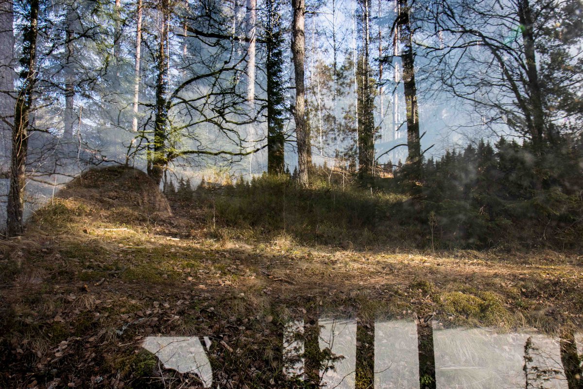 Mirja_Paljakka's tweet photo. When one walks year after year
same paths there comes the day when
one wanna change even the view one sees
- this happened to me
and here's my new imaginary landscape
without any photoshopping.
#creative #landcape #landsphotography #forest #path #Finland #March #whenwewalk https://t.co/AeyPxvxdZ7