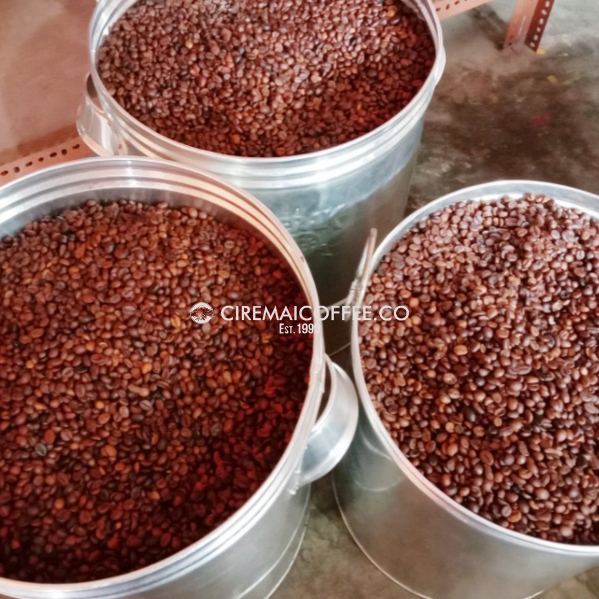 Kopi Ready guys.
Robusta Cibeureum
Arabika Darma
Arabika Cibunar

Biji mentah, biji panggang, Bubuk. Siap order