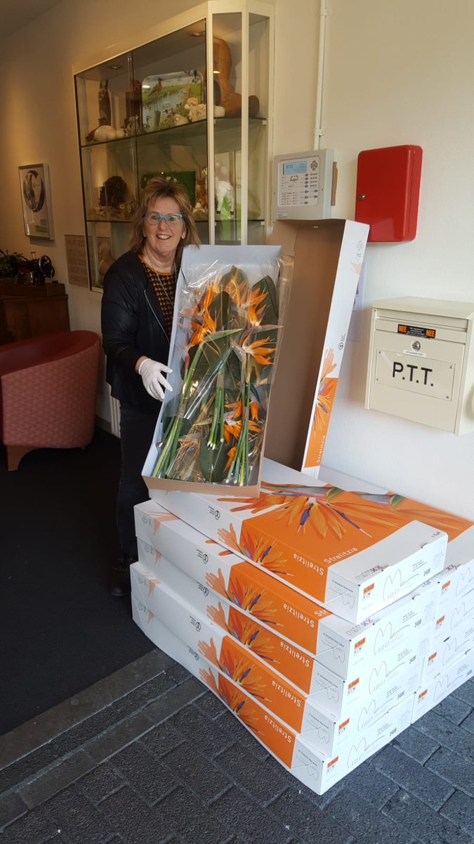 Afgelopen vrijdag ism een anonieme gulle gever, de bewoners en verzorgers van <a href="/PietervForeest/">Pieter van Foreest</a> de lindenhof in Delft, in de #strelitzia bloemetjes gezet! Geniet er van!

mvo-strelitzia.nl