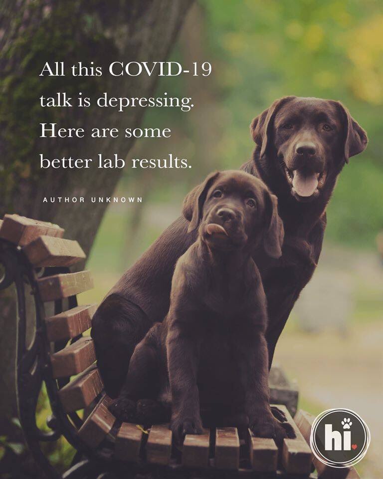 Ahmad Naguib (@ahmad__naguib) on Twitter photo 