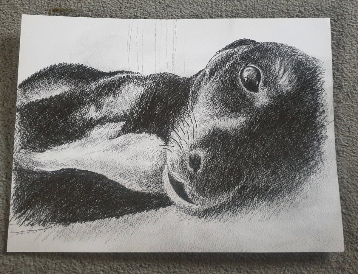 Kate Hamlett tweet media