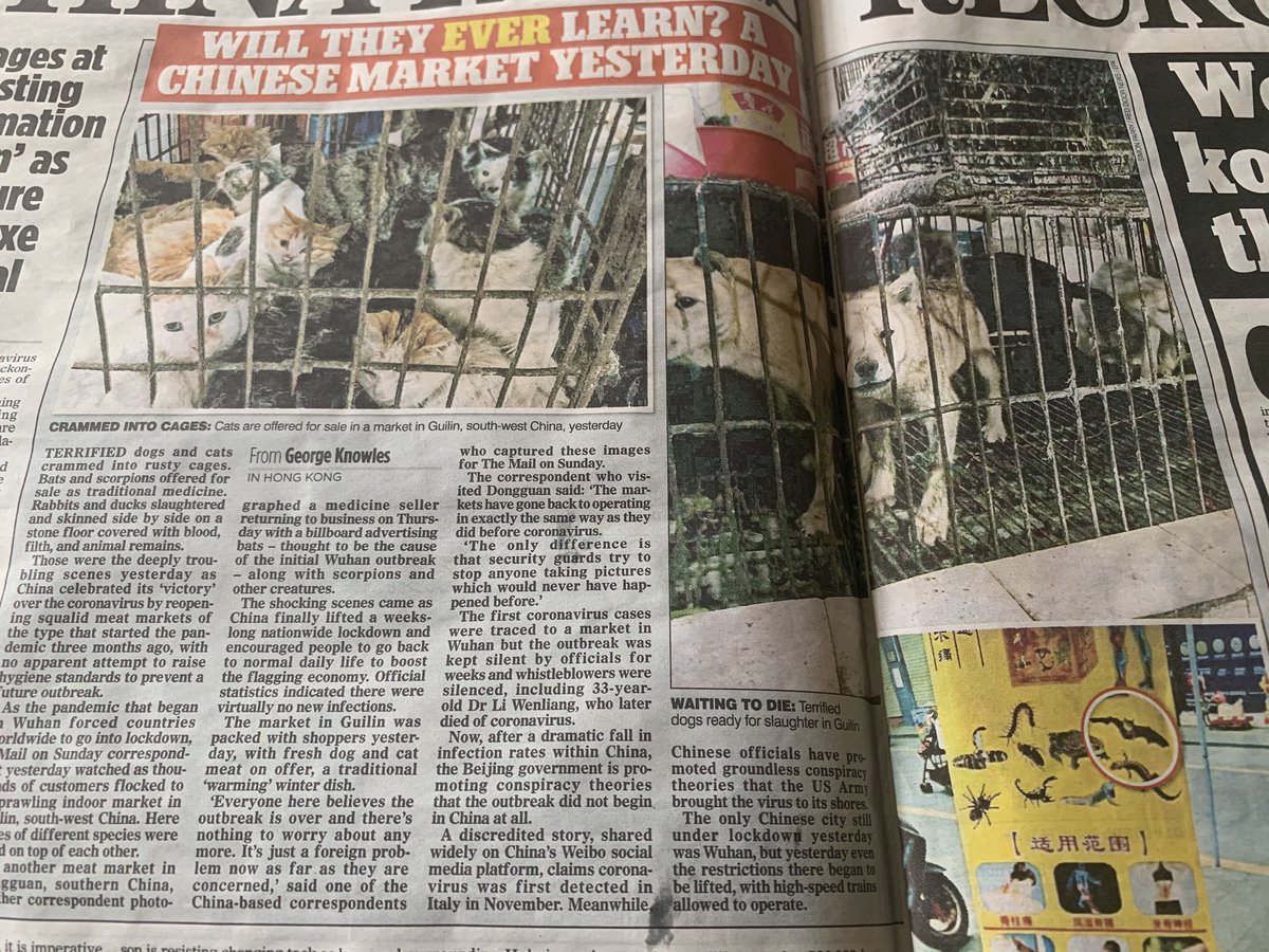 Whatever else China is guilty of in relation to #COVID19 these wet markets where cats and dogs are butchered alive are grotesque. The fact that it’s business as usual there should make us all think very hard about how we indirectly support such barbarism.