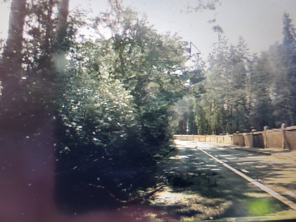 SurreyRoadCops tweet picture