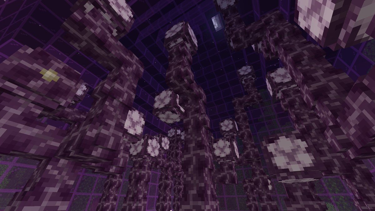 minealexmine's tweet image. Chours Fruit “Purple House”
Is this to much purple?
I love the way this build glows at night.
-
#minecraft #minecraftfarm #minecraftbedrock #minecraftbuild #minecraftbuilds #chorusfruit #xbox #gamer #stayathome